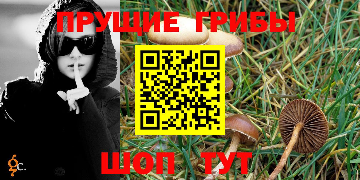 Псилоцибиновые грибы Magic Shrooms  даркнет сайт  Армавир  Вход с VPN 
