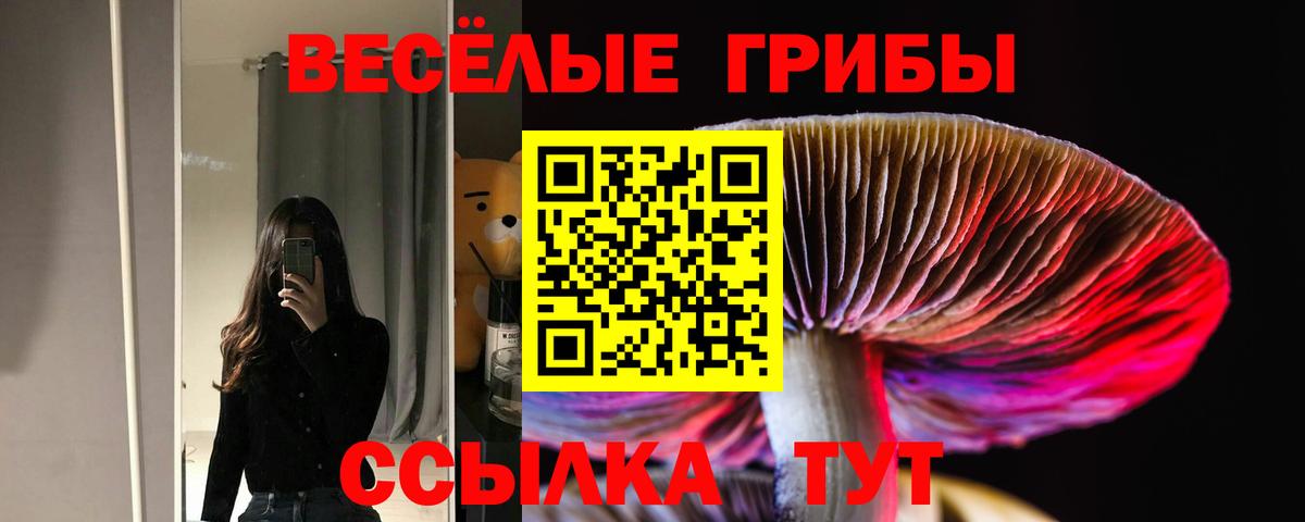 Псилоцибиновые грибы ЛСД Армавир